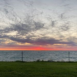 Meet your Posher, Lane